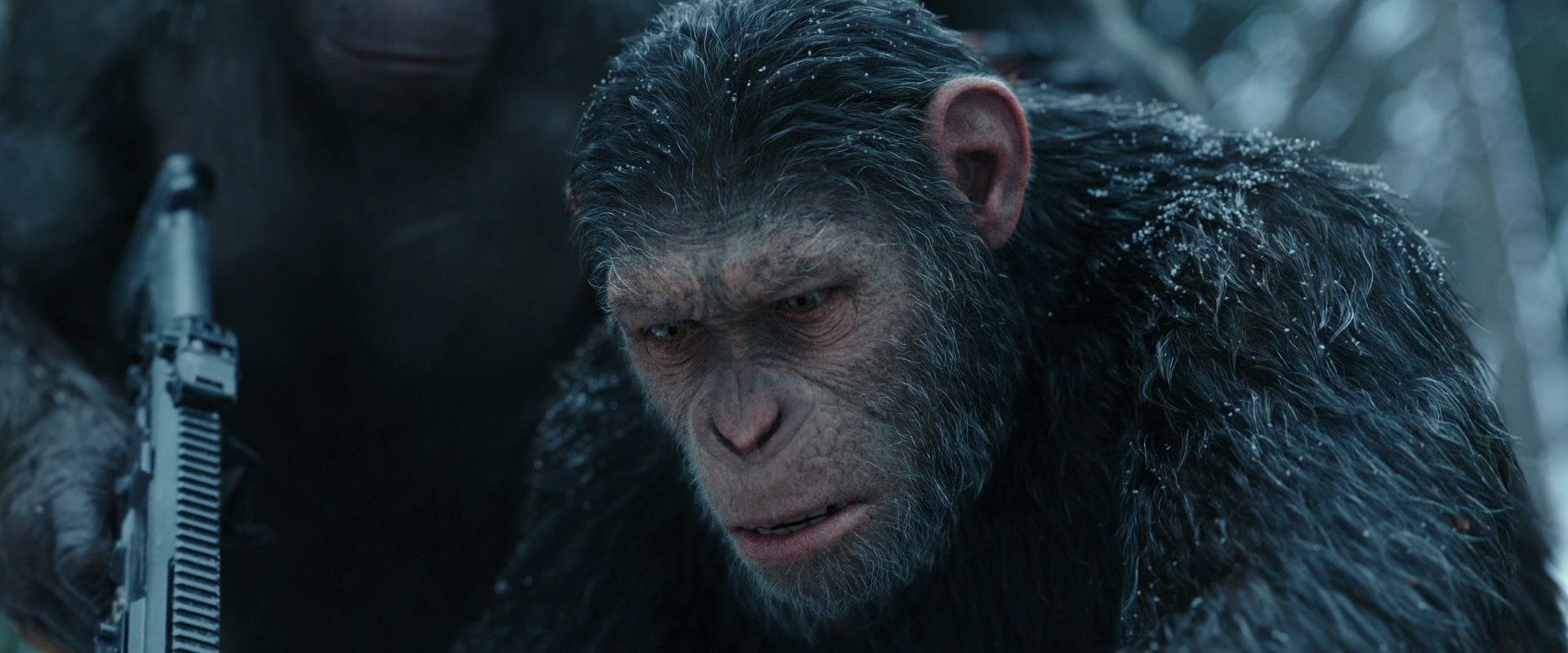 War for the Planet of the Apes (2017) movie still 4639