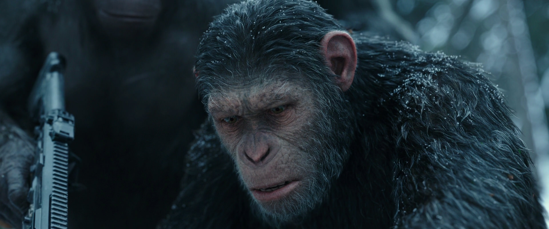 War for the Planet of the Apes (2017) HD screenshot 4640
