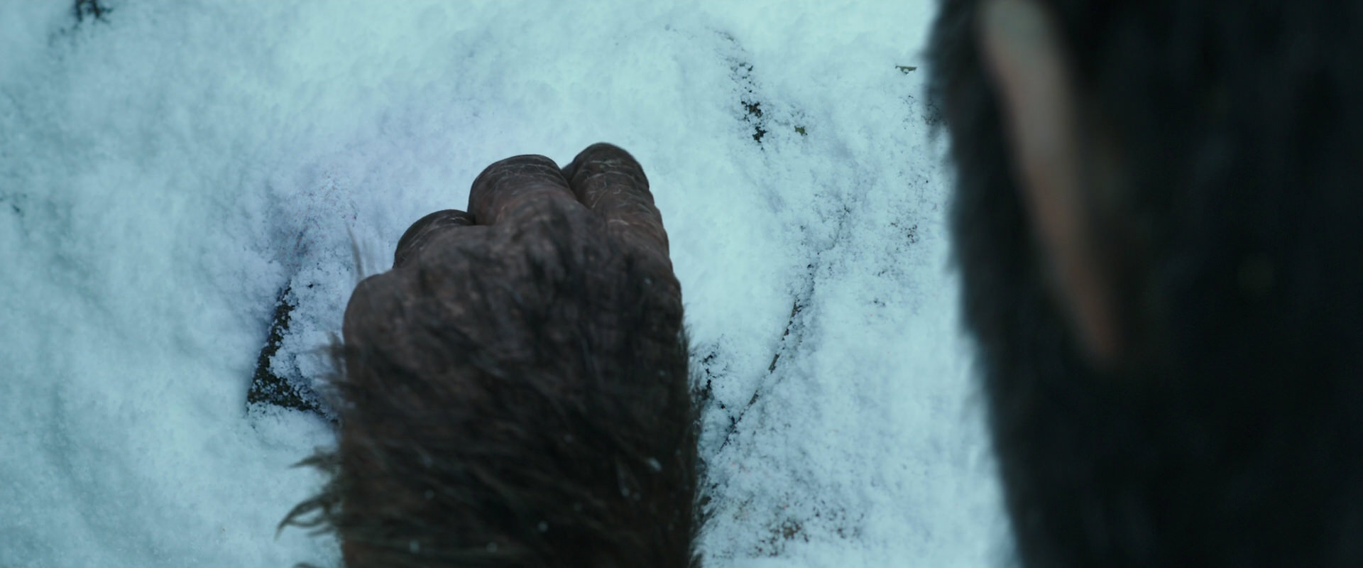 War for the Planet of the Apes (2017) screencap 4641