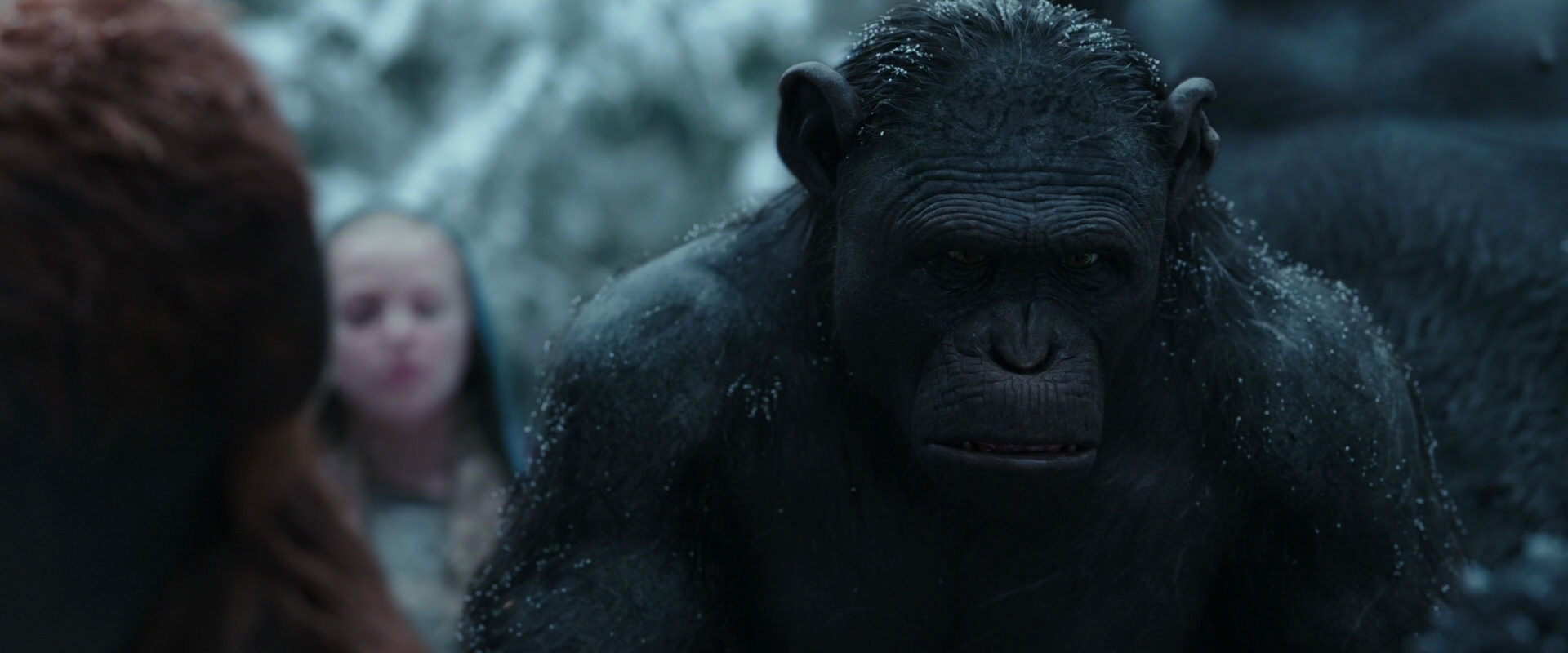 War for the Planet of the Apes (2017) movie still 4651