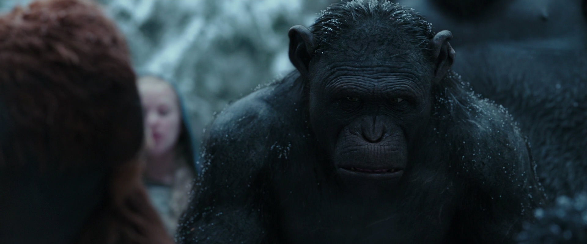 War for the Planet of the Apes (2017) screencap 4653