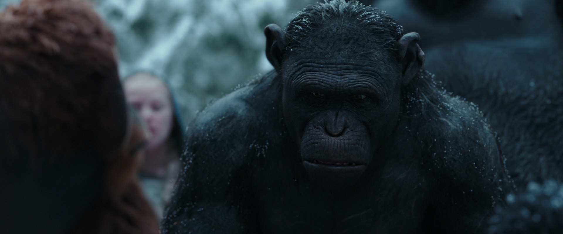 War for the Planet of the Apes (2017) movie still 4654