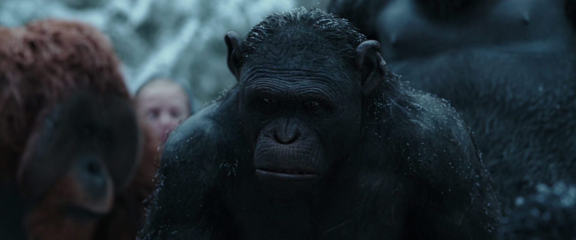 War for the Planet of the Apes (2017) screencap 4656
