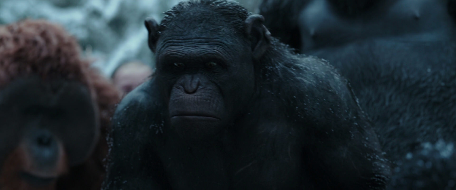 War for the Planet of the Apes (2017) movie still 4657