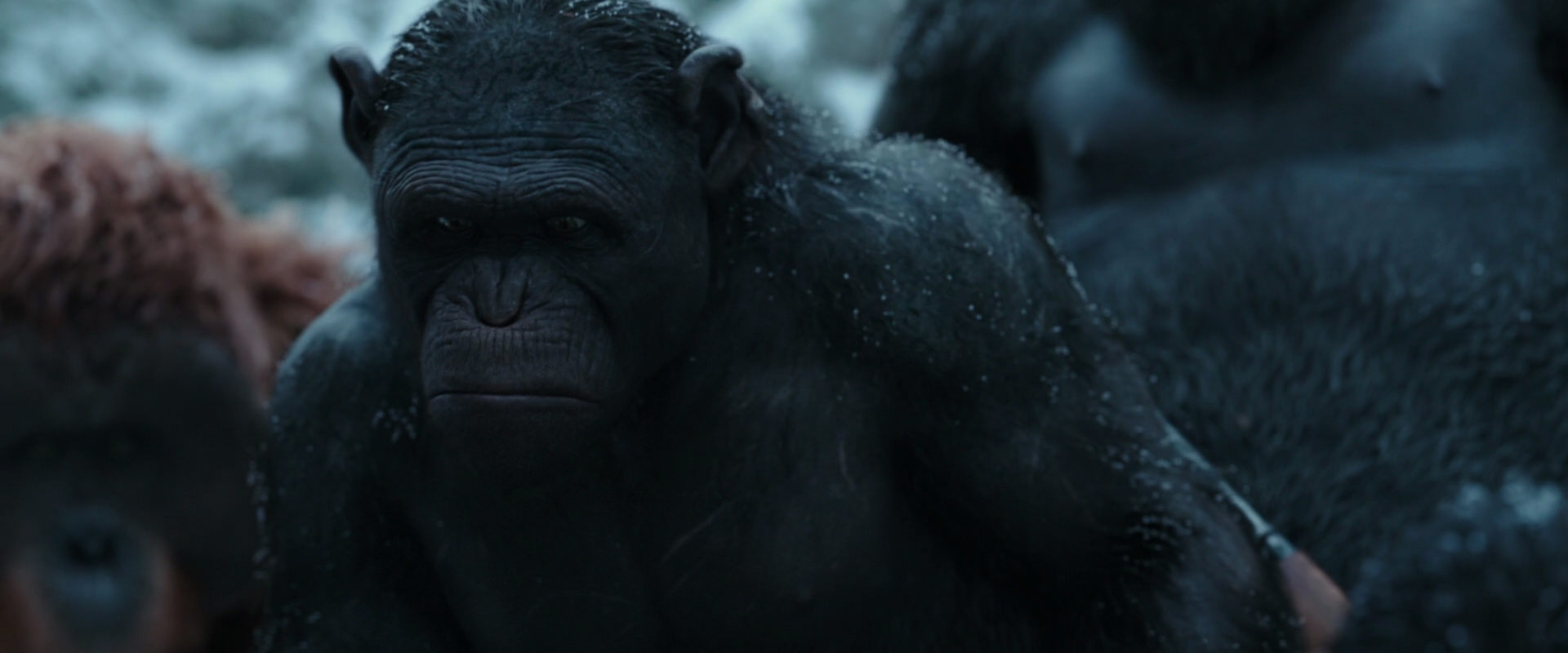 War for the Planet of the Apes (2017) HD screenshot 4658