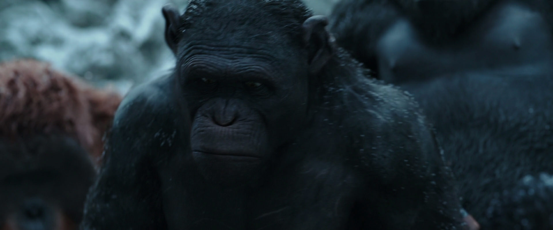 War for the Planet of the Apes (2017) screencap 4659