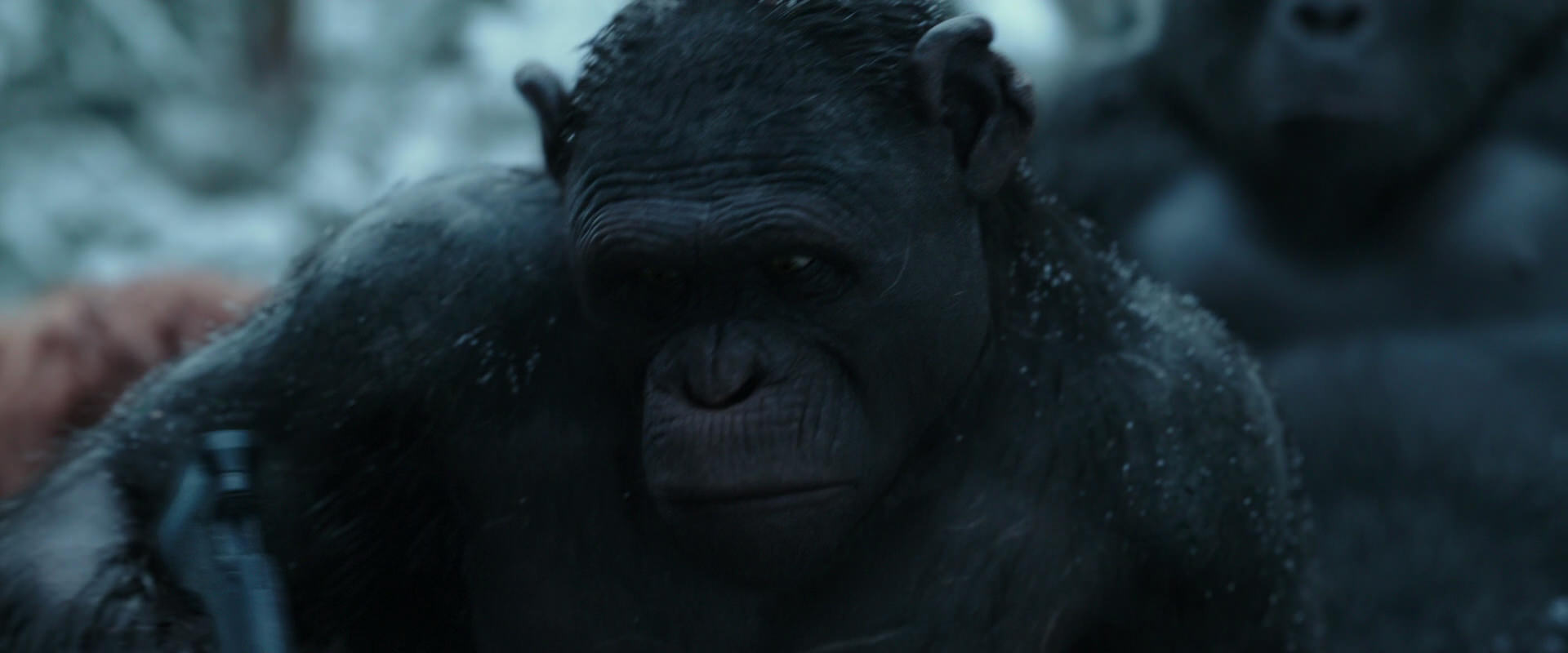 War for the Planet of the Apes (2017) movie still 4660