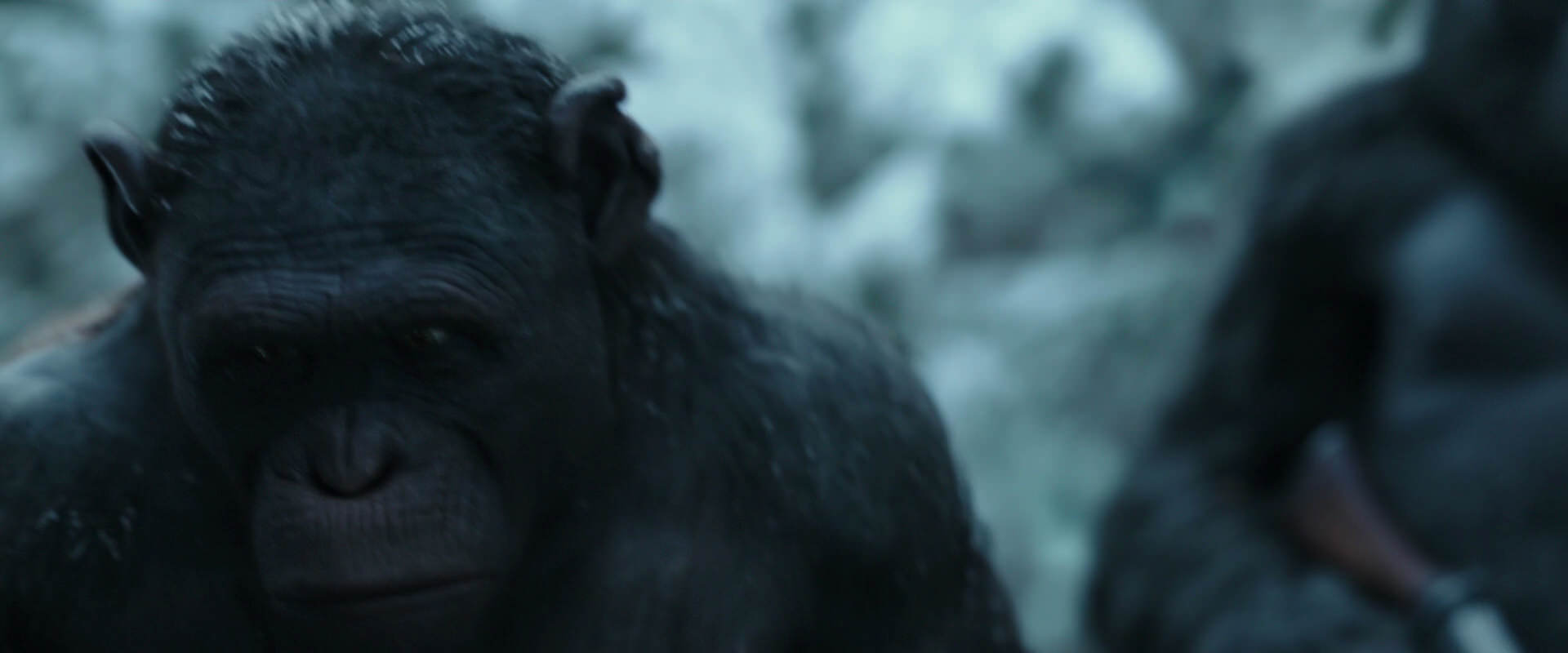 War for the Planet of the Apes (2017) HD screenshot 4661