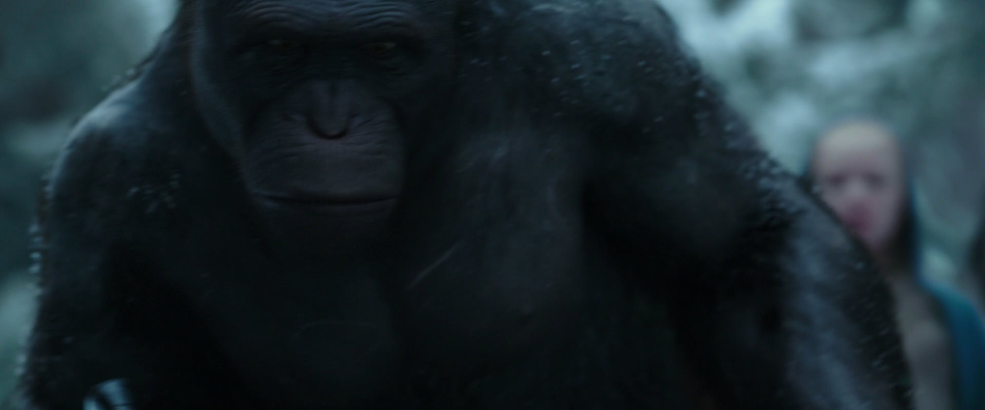War for the Planet of the Apes (2017) screencap 4662