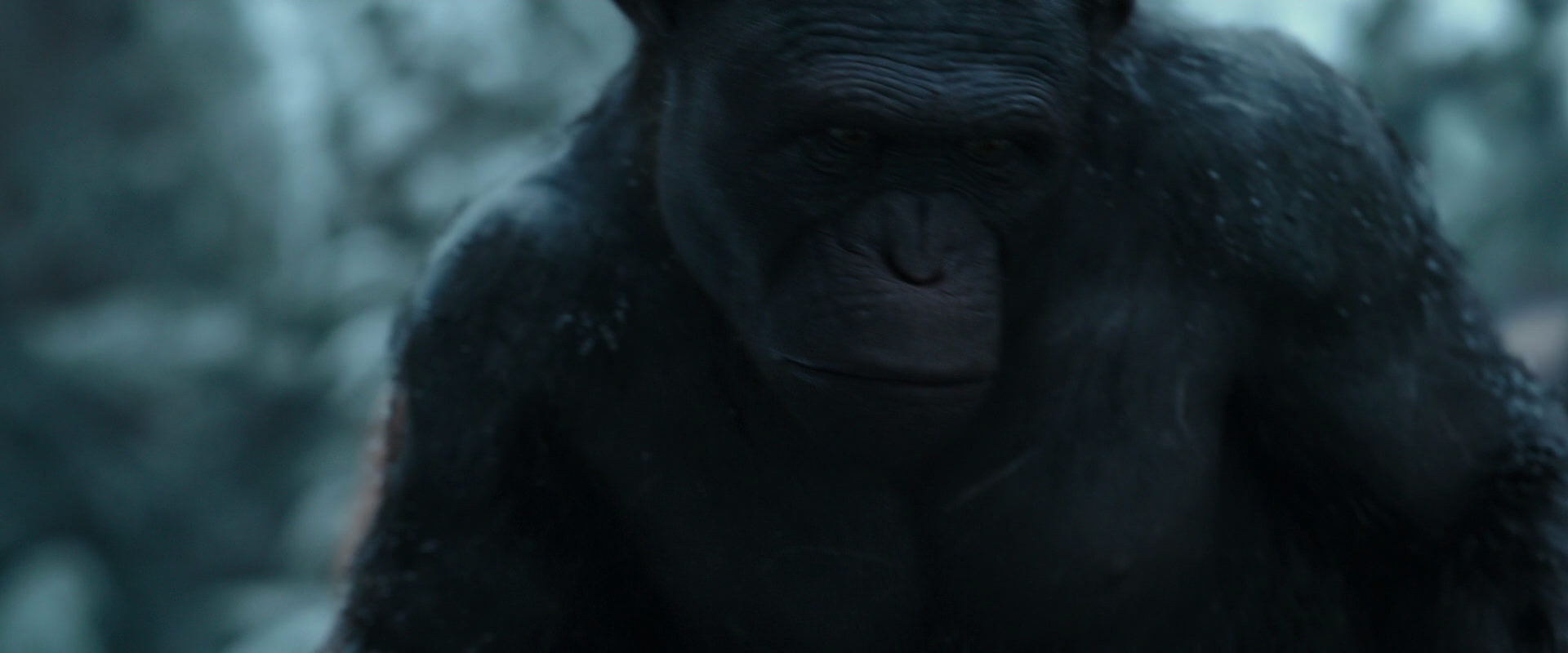 War for the Planet of the Apes (2017) movie still 4663