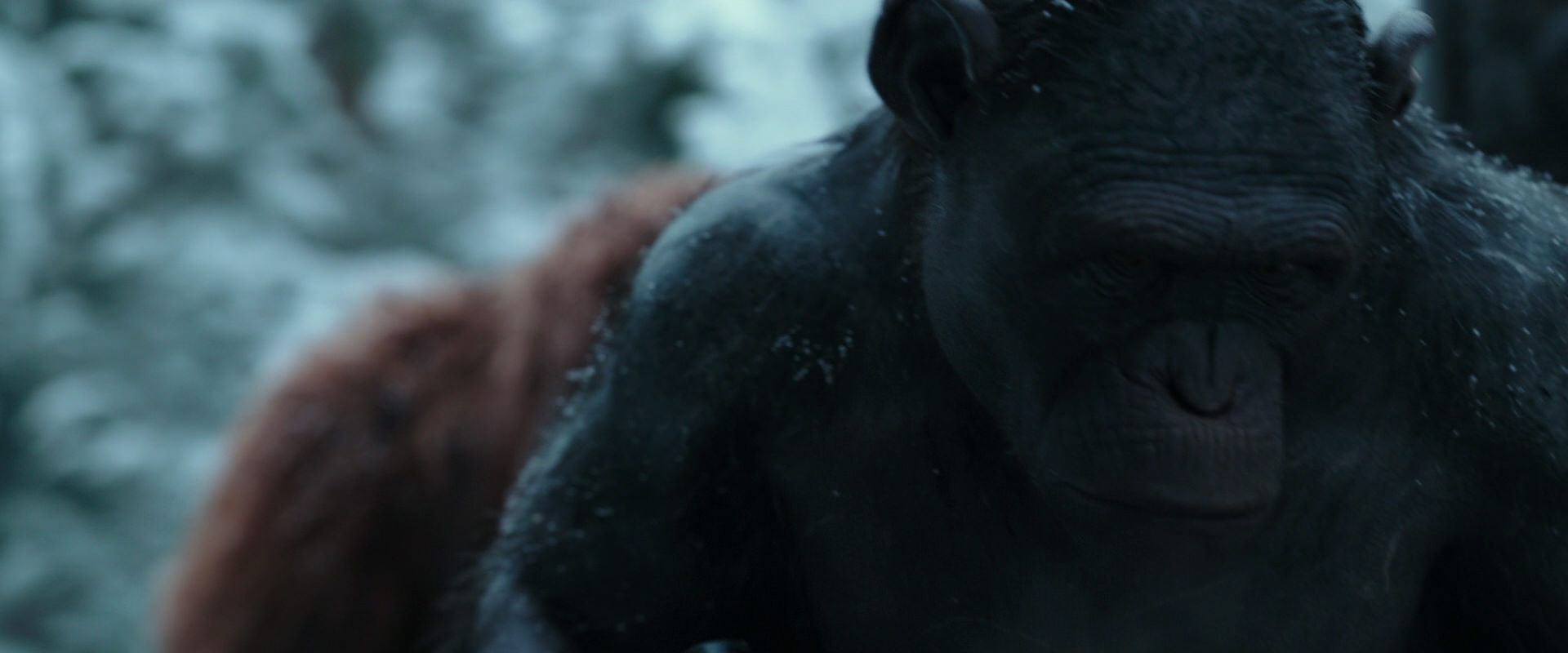 War for the Planet of the Apes (2017) HD screenshot 4664