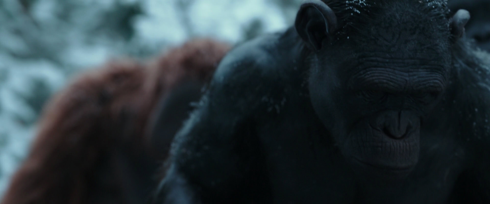War for the Planet of the Apes (2017) screencap 4665