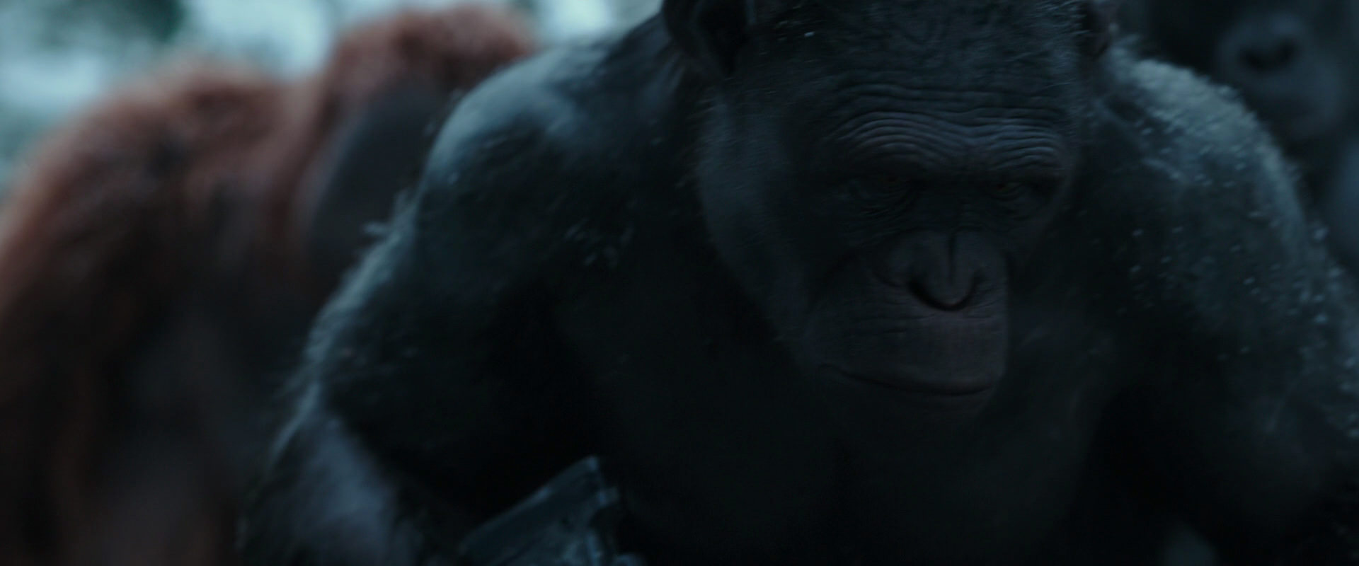 War for the Planet of the Apes (2017) movie still 4666