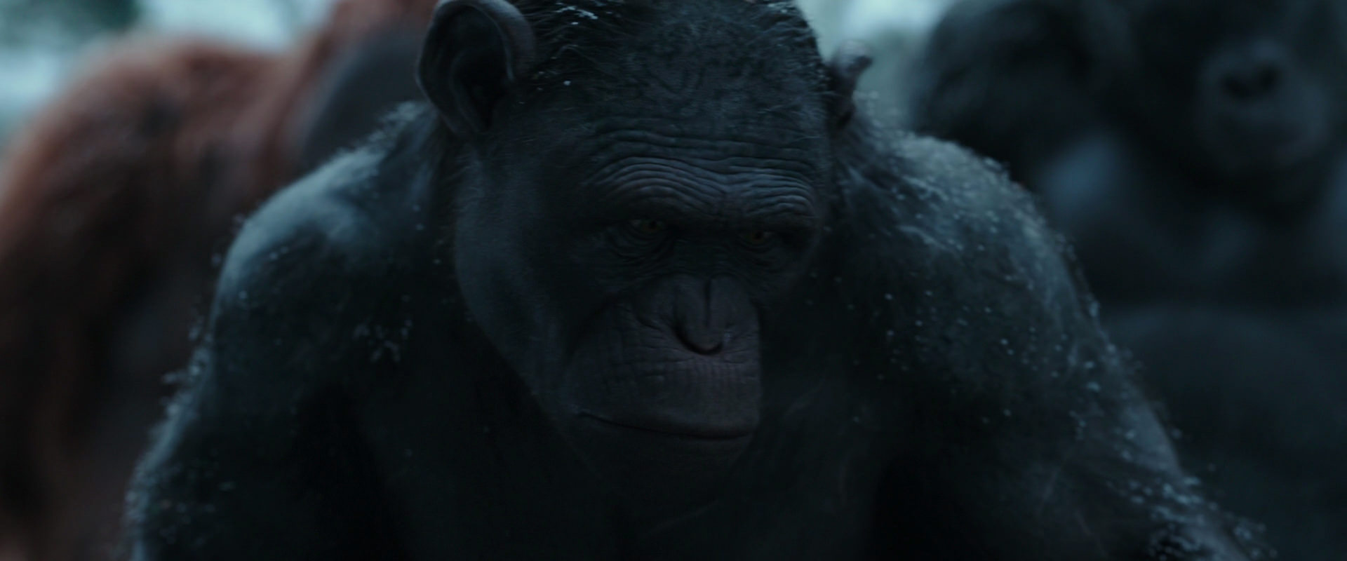War for the Planet of the Apes (2017) HD screenshot 4667