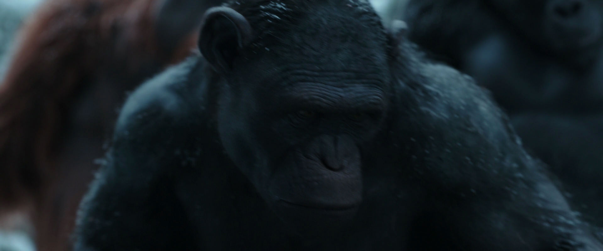 War for the Planet of the Apes (2017) screencap 4668