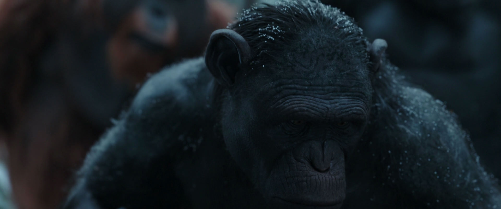War for the Planet of the Apes (2017) movie still 4669