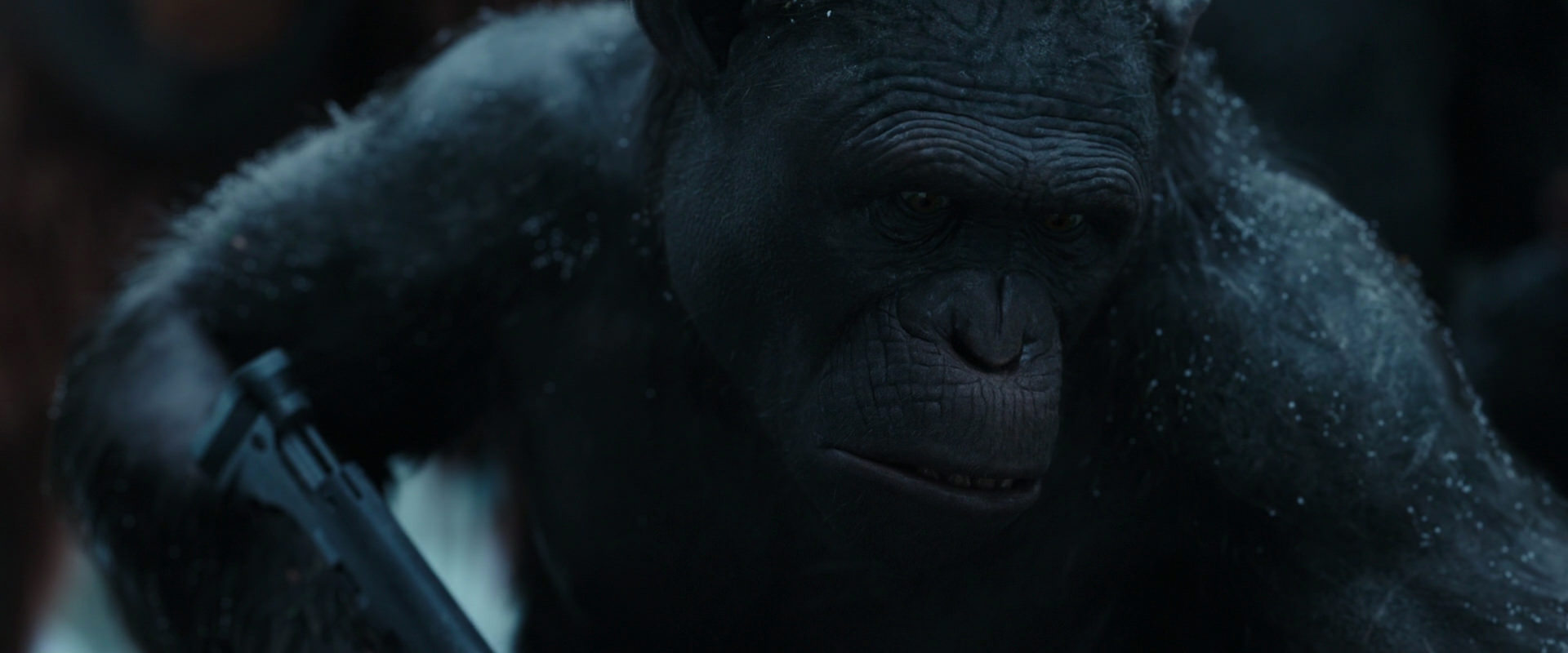 War for the Planet of the Apes (2017) screencap 4671