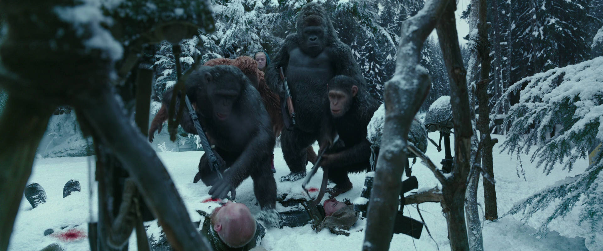 War for the Planet of the Apes (2017) screencap 4683