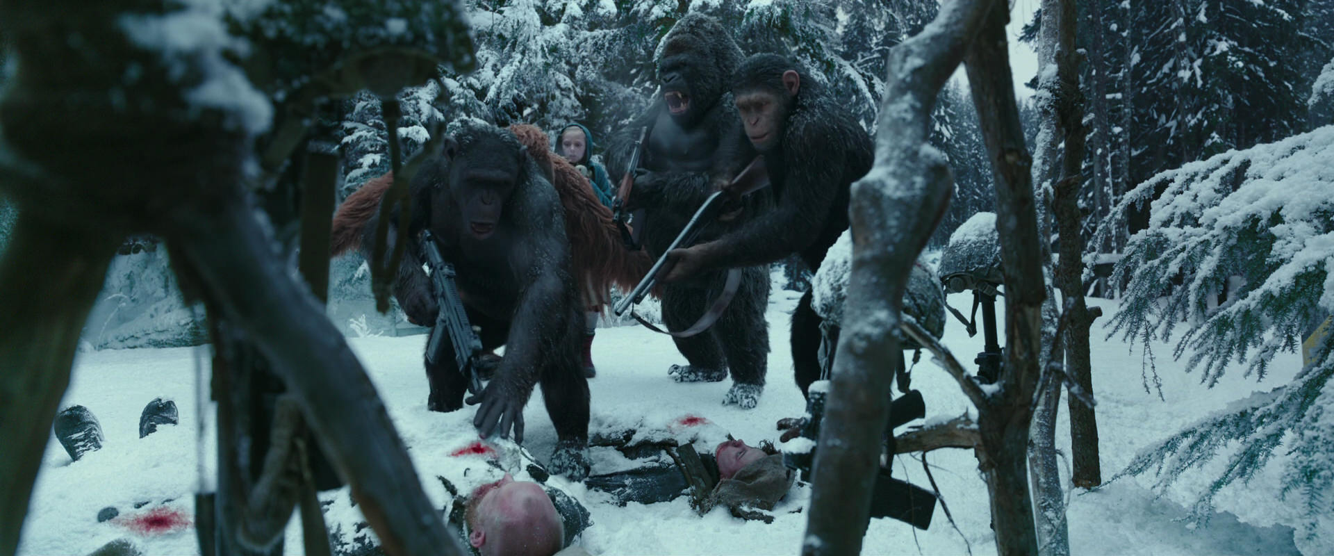 War for the Planet of the Apes (2017) movie still 4684