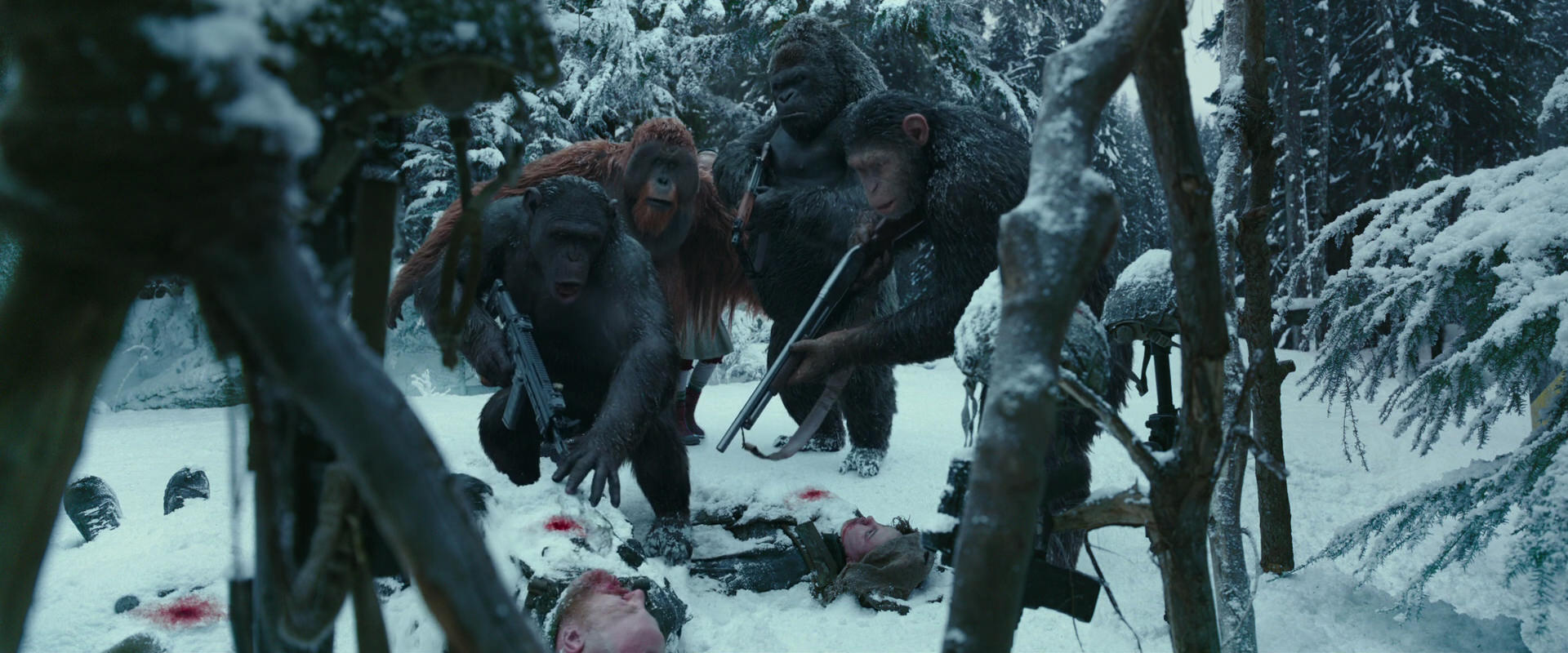 War for the Planet of the Apes (2017) screencap 4686