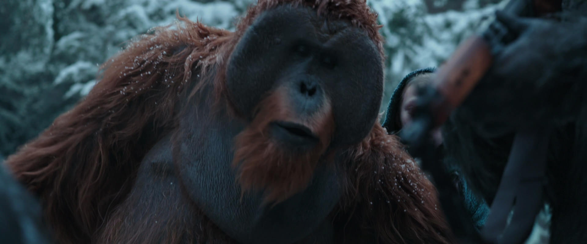 War for the Planet of the Apes (2017) screencap 4695