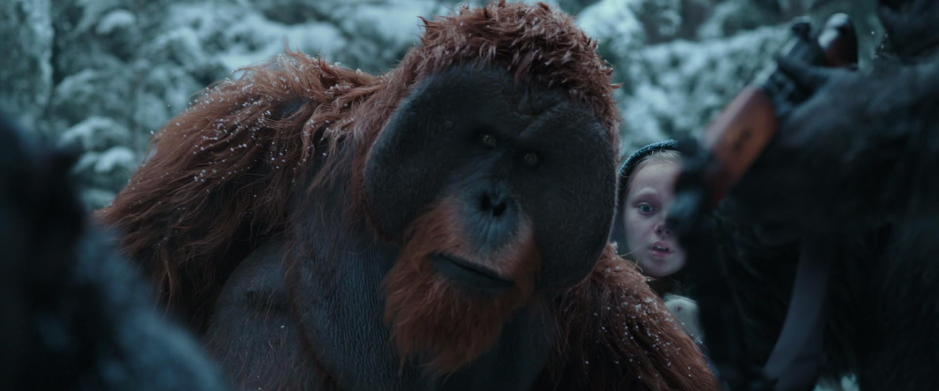 War for the Planet of the Apes (2017) movie still 4696
