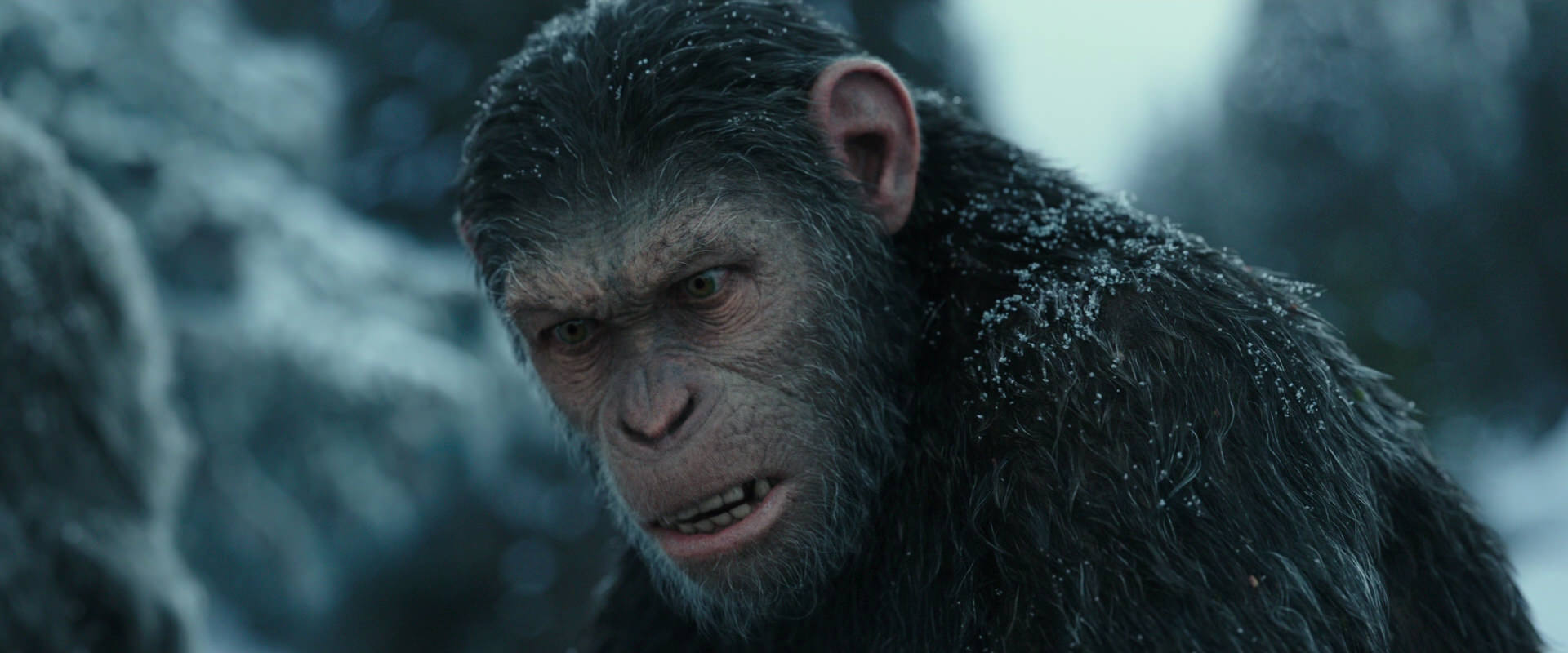 War for the Planet of the Apes (2017) HD screenshot 4697