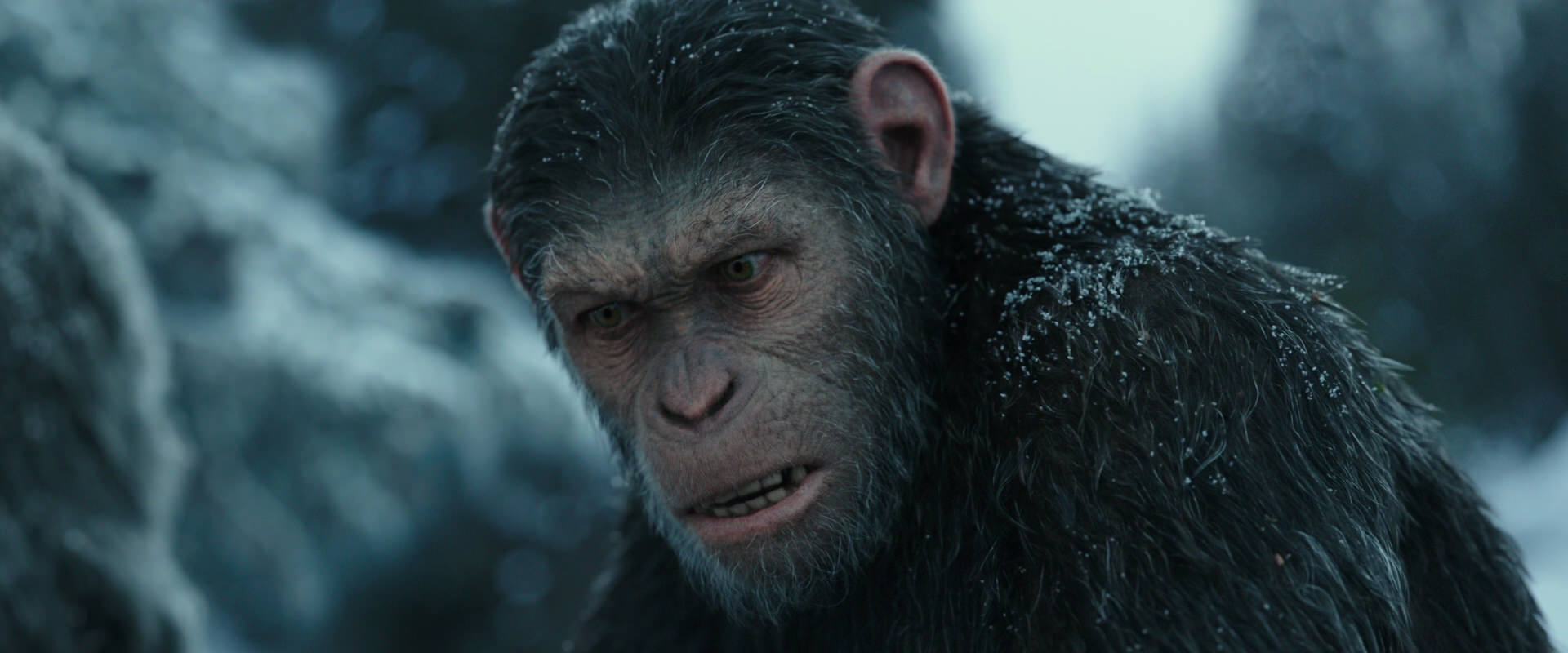 War for the Planet of the Apes (2017) screencap 4698