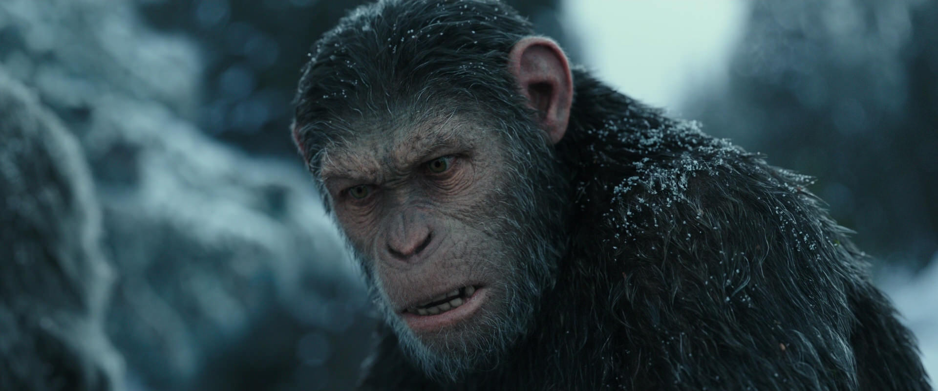 War for the Planet of the Apes (2017) movie still 4699