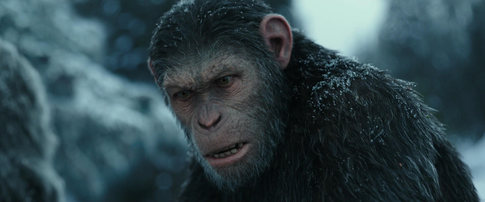 War for the Planet of the Apes (2017) HD screenshot 4700