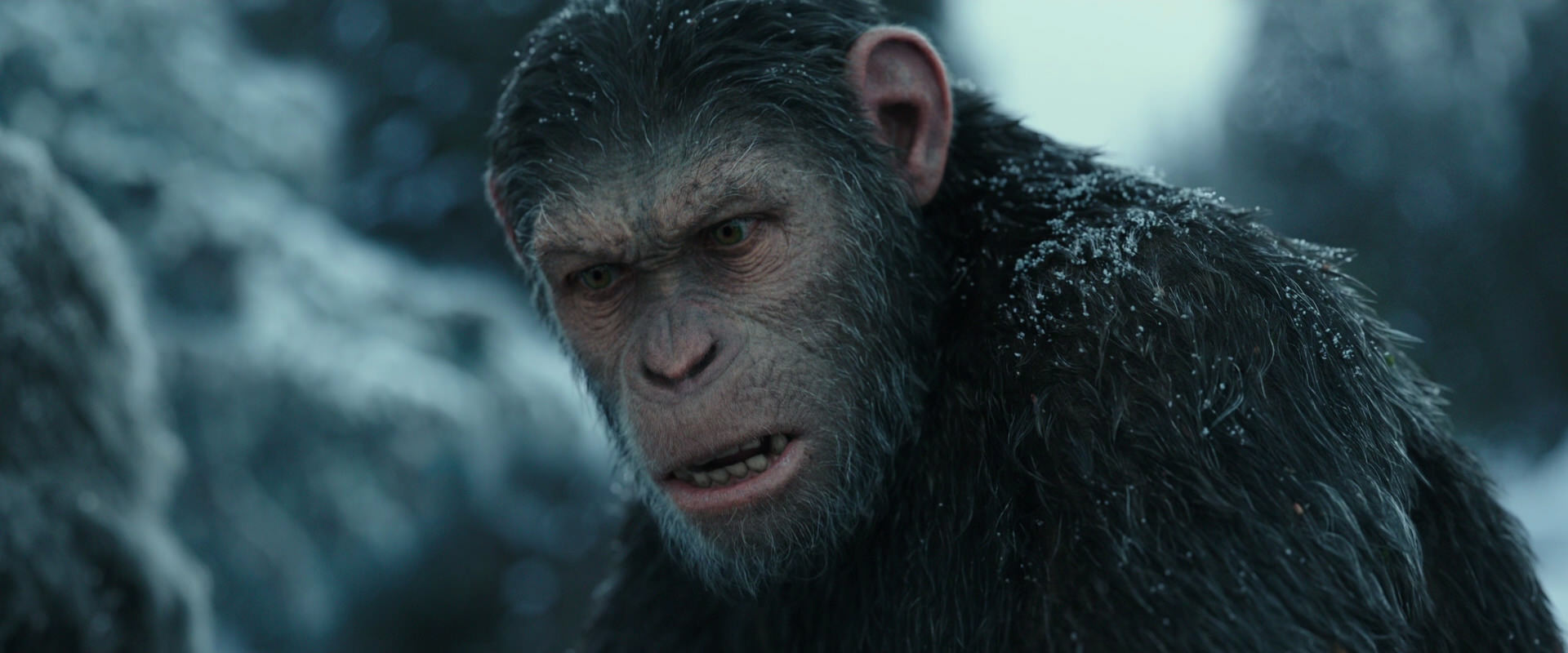 War for the Planet of the Apes (2017) screencap 4701