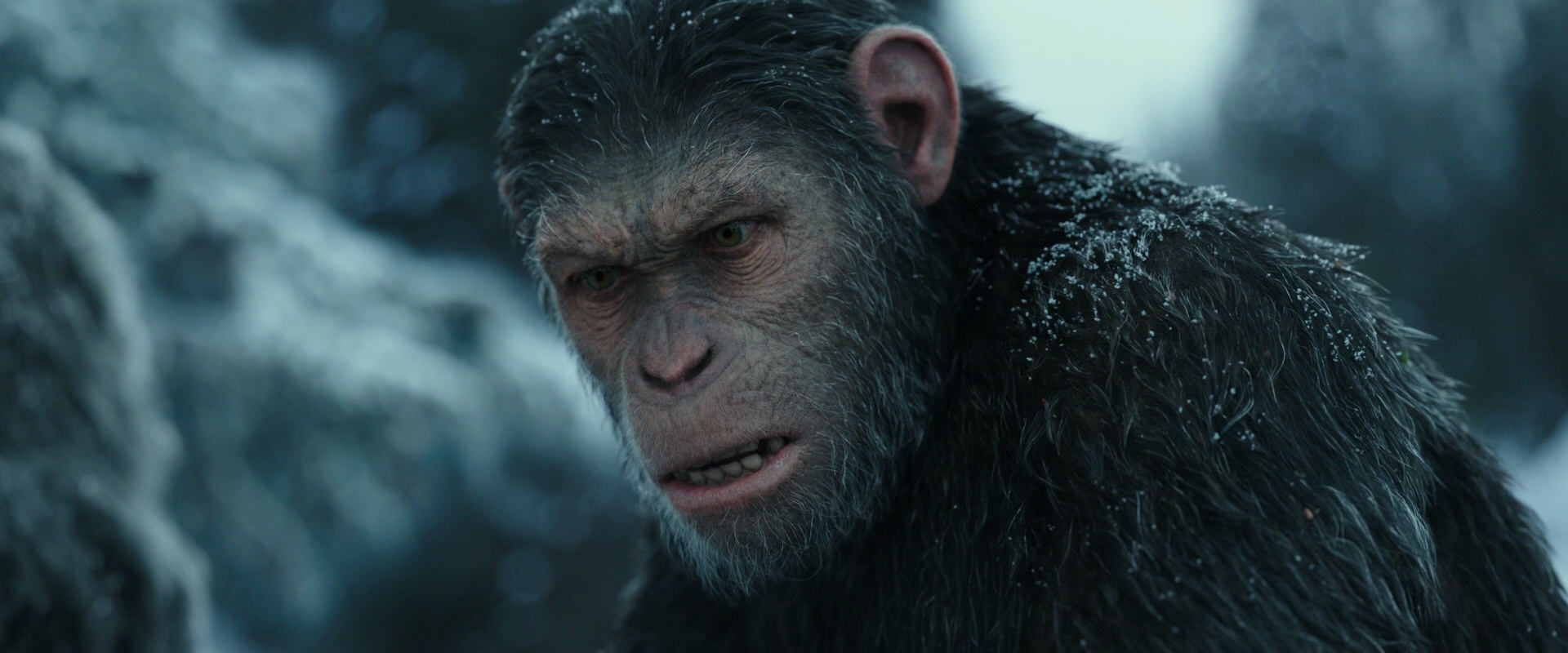 War for the Planet of the Apes (2017) movie still 4702