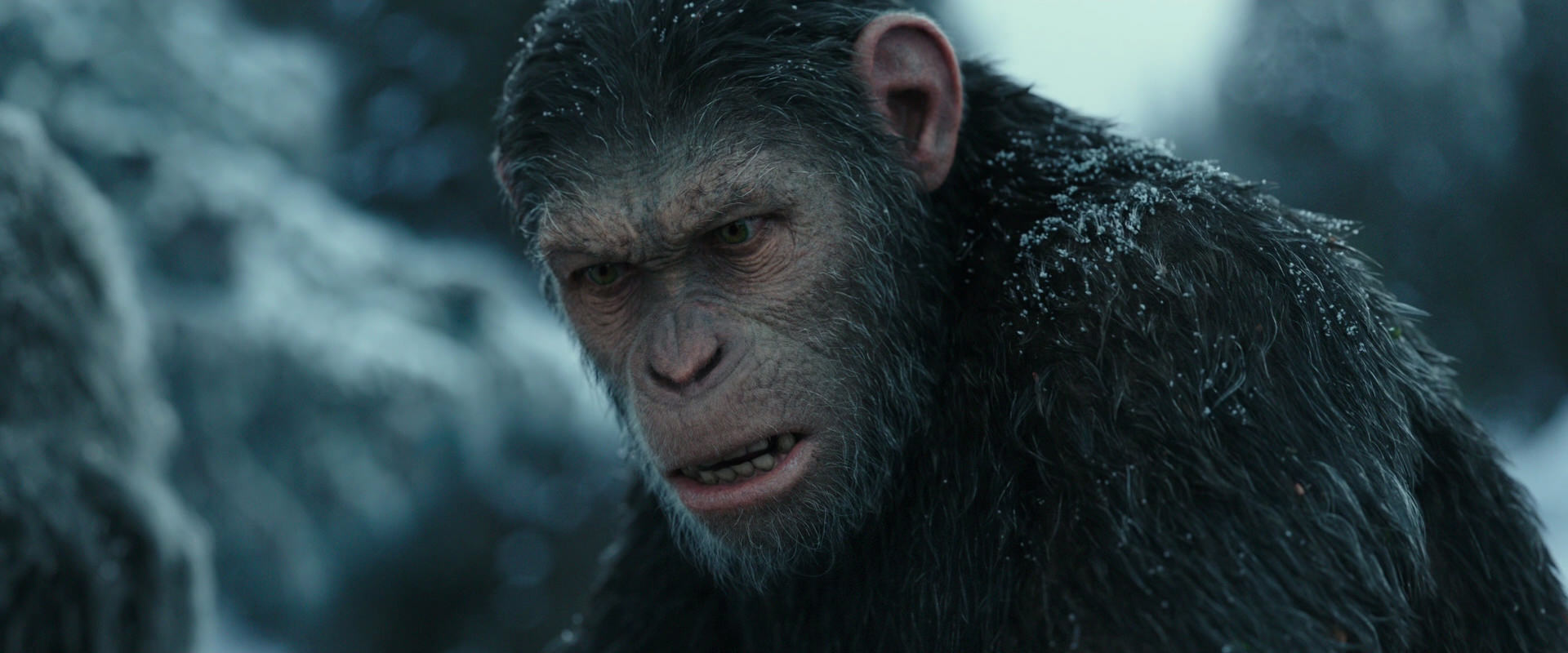 War for the Planet of the Apes (2017) HD screenshot 4703