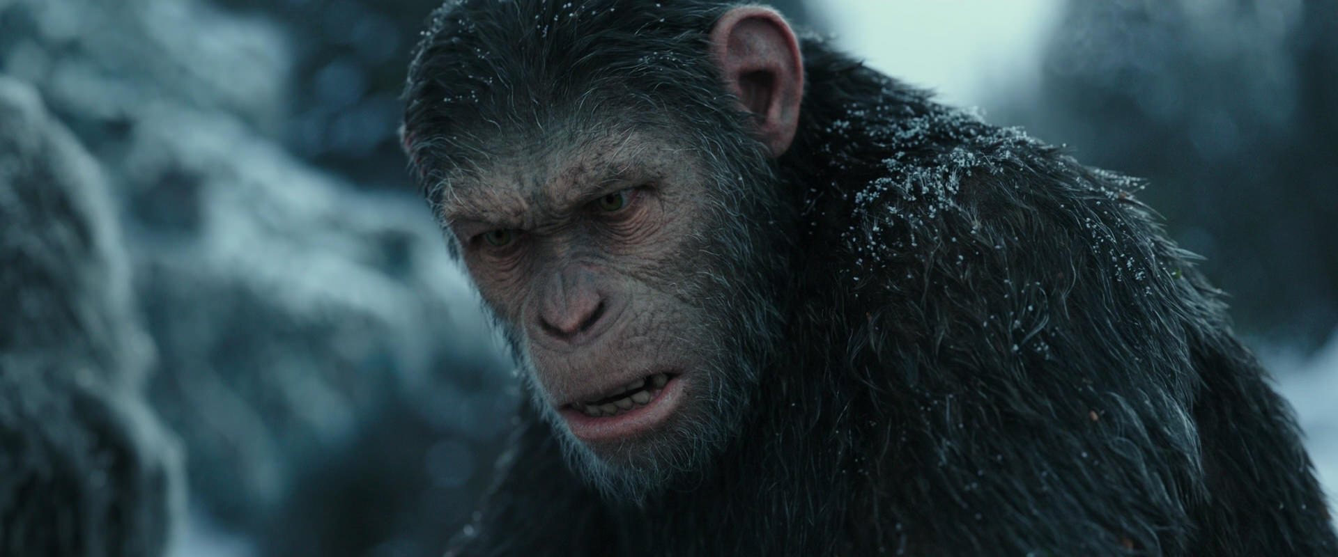War for the Planet of the Apes (2017) screencap 4704