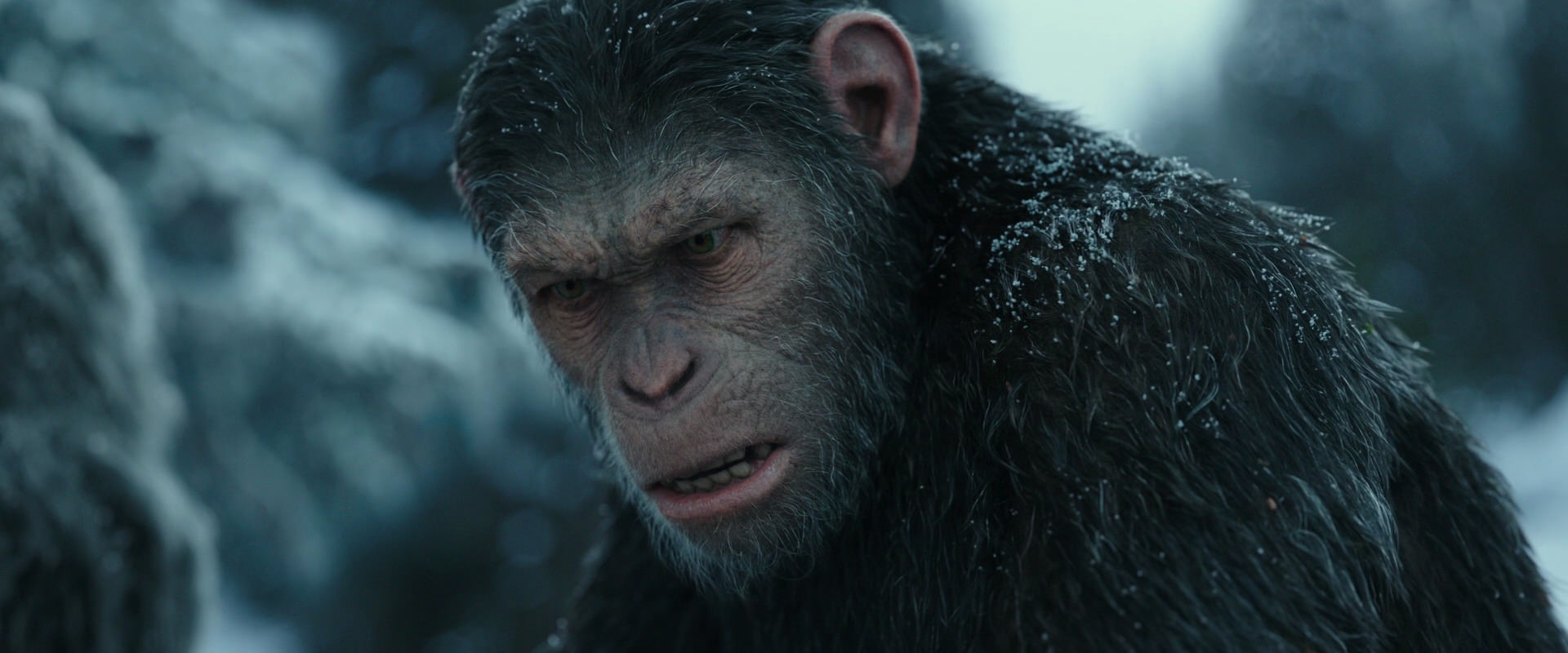 War for the Planet of the Apes (2017) movie still 4705