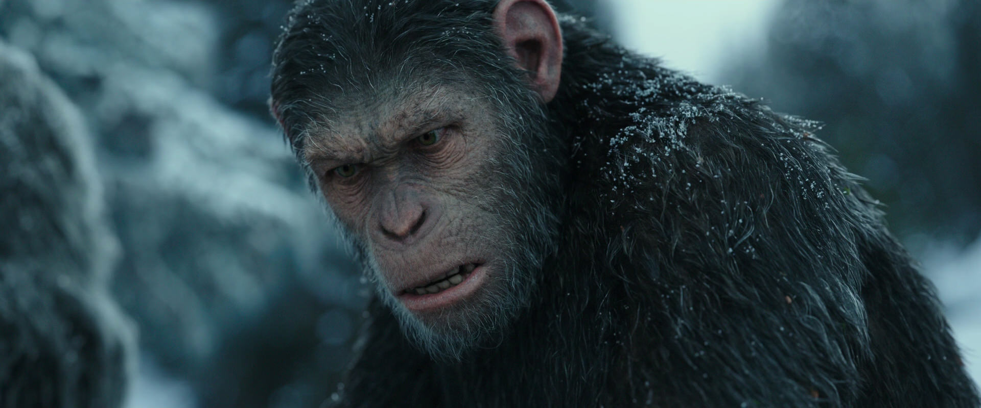 War for the Planet of the Apes (2017) screencap 4710