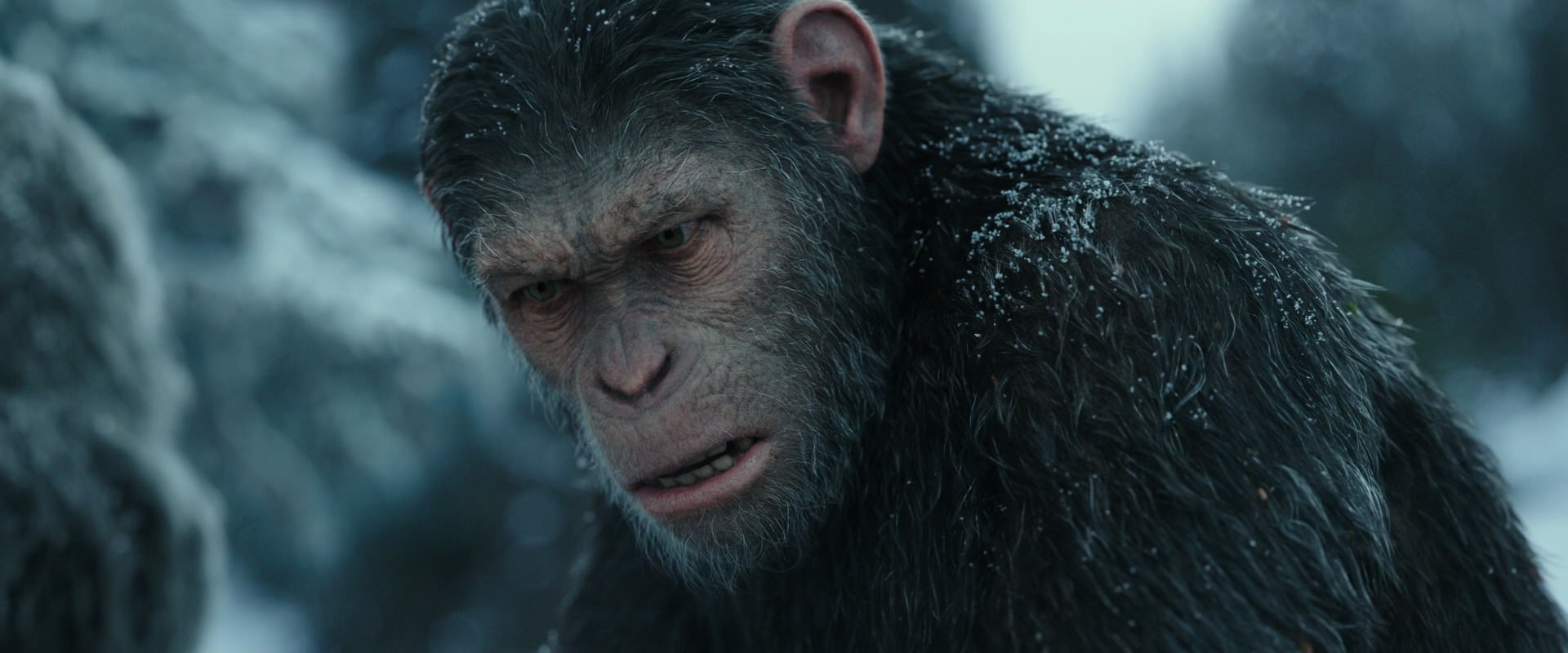 War for the Planet of the Apes (2017) movie still 4711