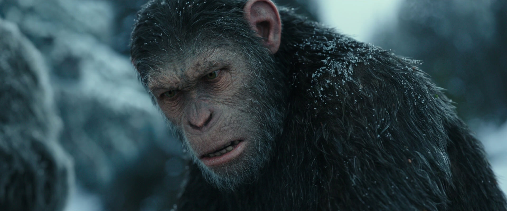 War for the Planet of the Apes (2017) HD screenshot 4712