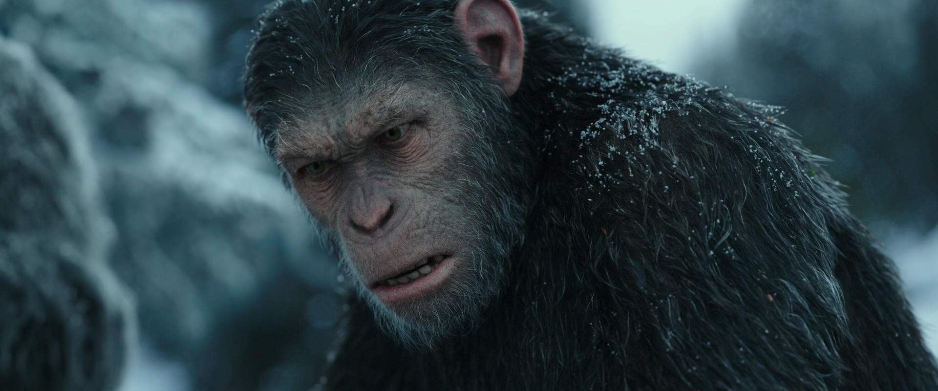 War for the Planet of the Apes (2017) screencap 4713