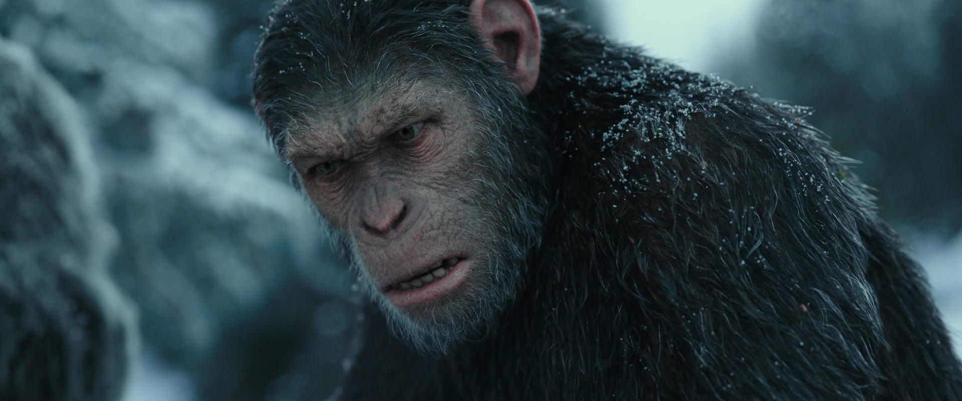 War for the Planet of the Apes (2017) movie still 4714