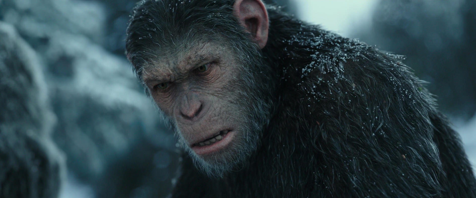 War for the Planet of the Apes (2017) HD screenshot 4715