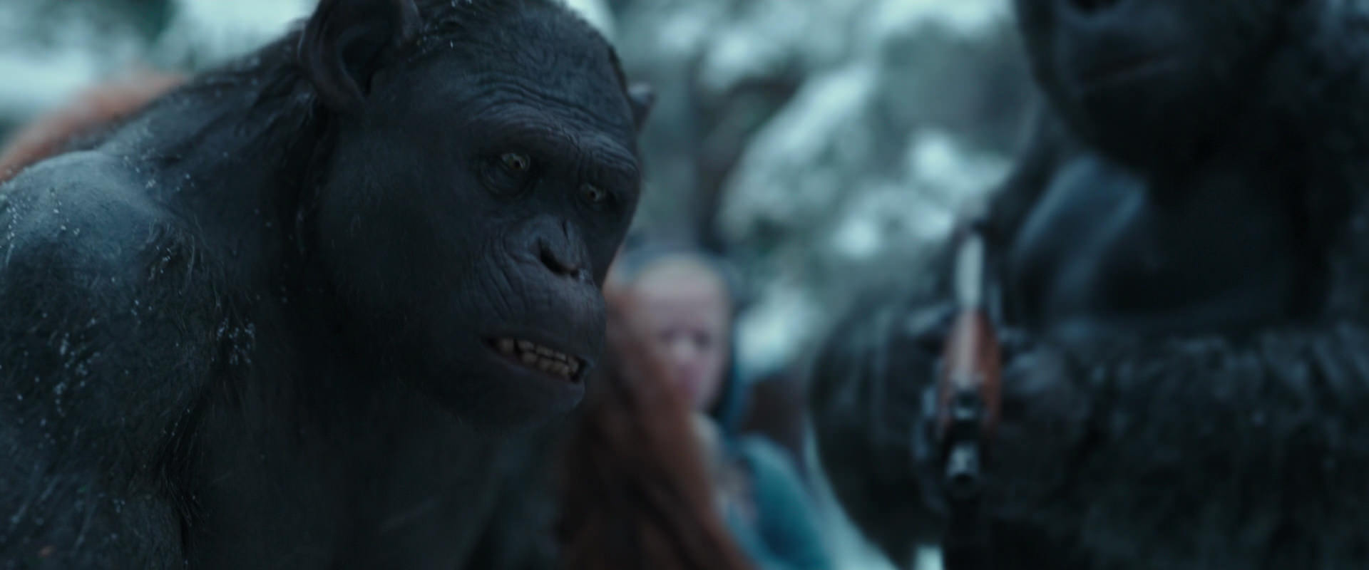 War for the Planet of the Apes (2017) screencap 4716