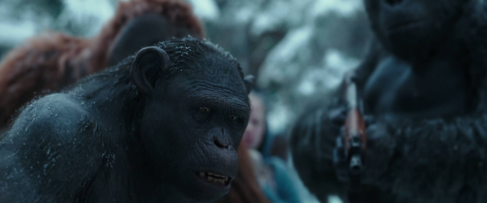 War for the Planet of the Apes (2017) movie still 4717