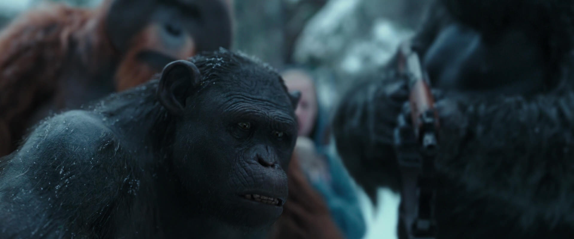 War for the Planet of the Apes (2017) HD screenshot 4718