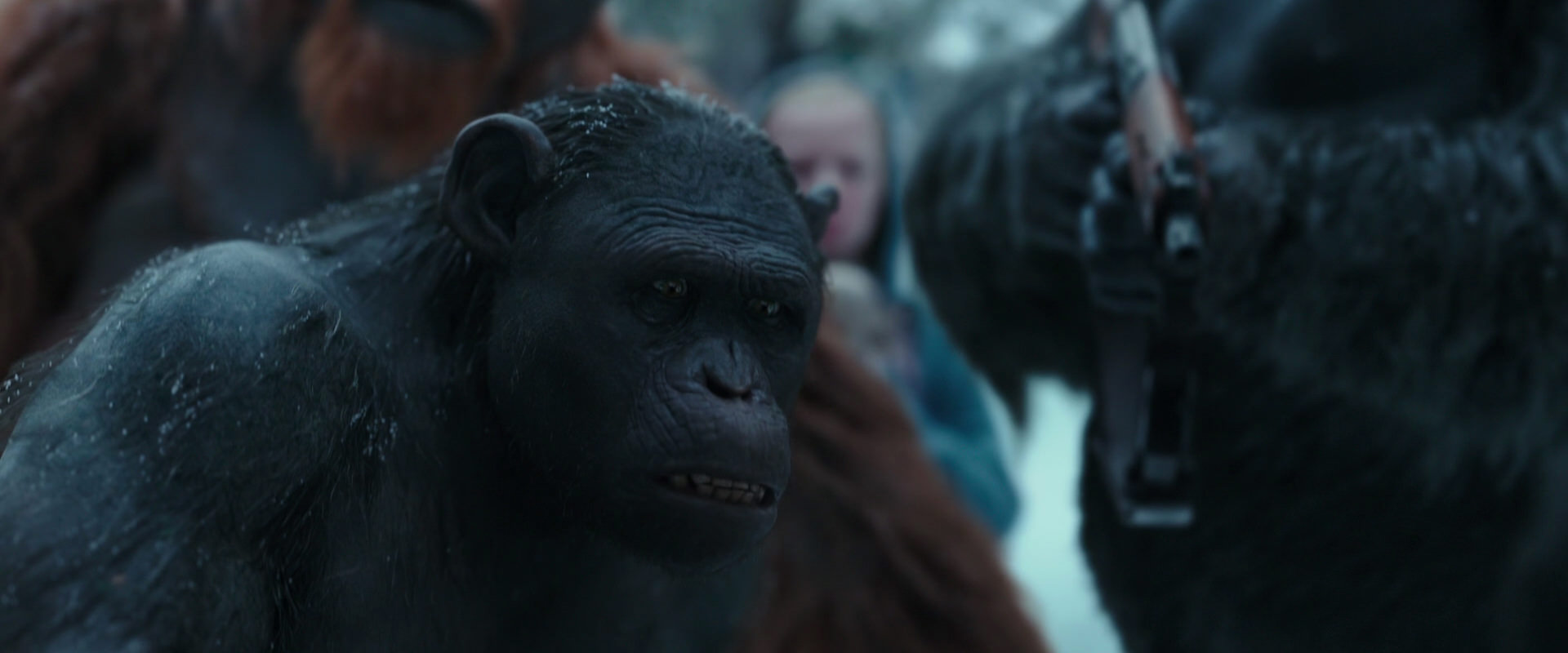 War for the Planet of the Apes (2017) screencap 4719