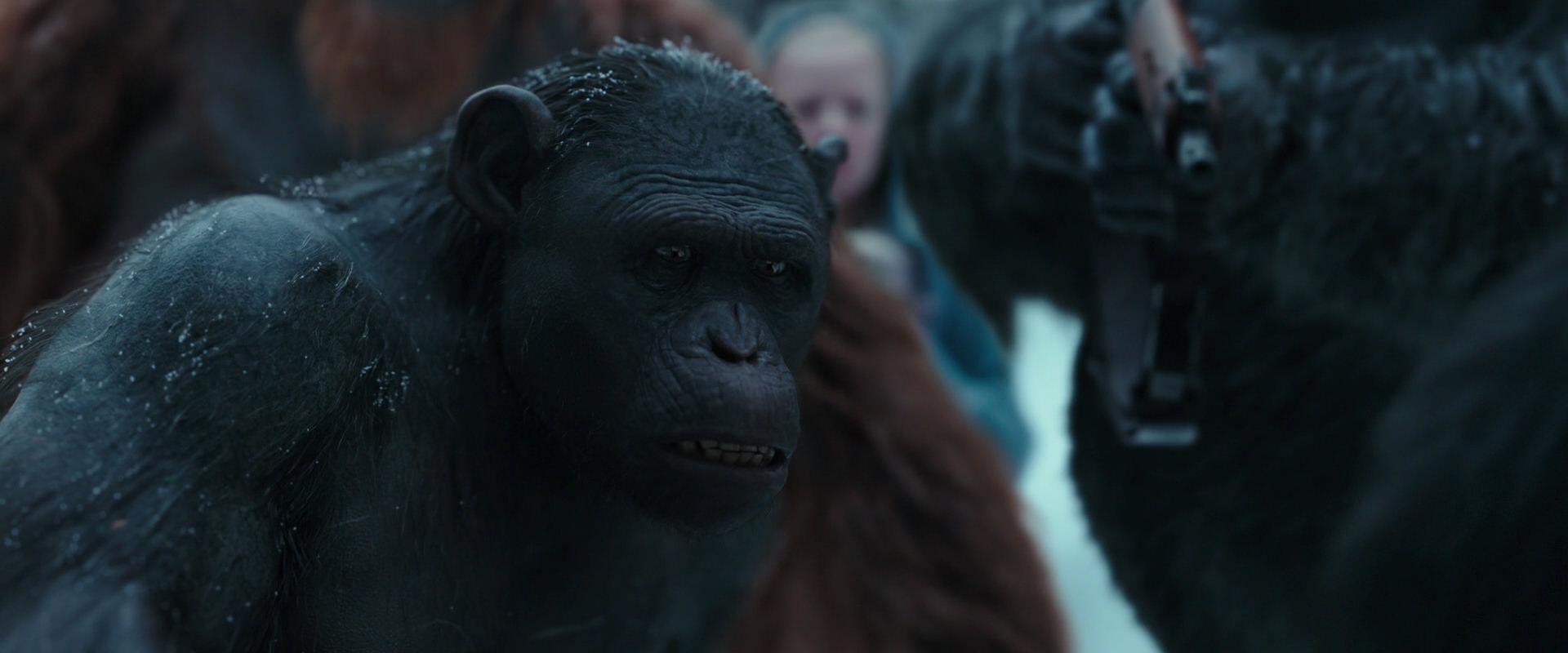 War for the Planet of the Apes (2017) movie still 4720