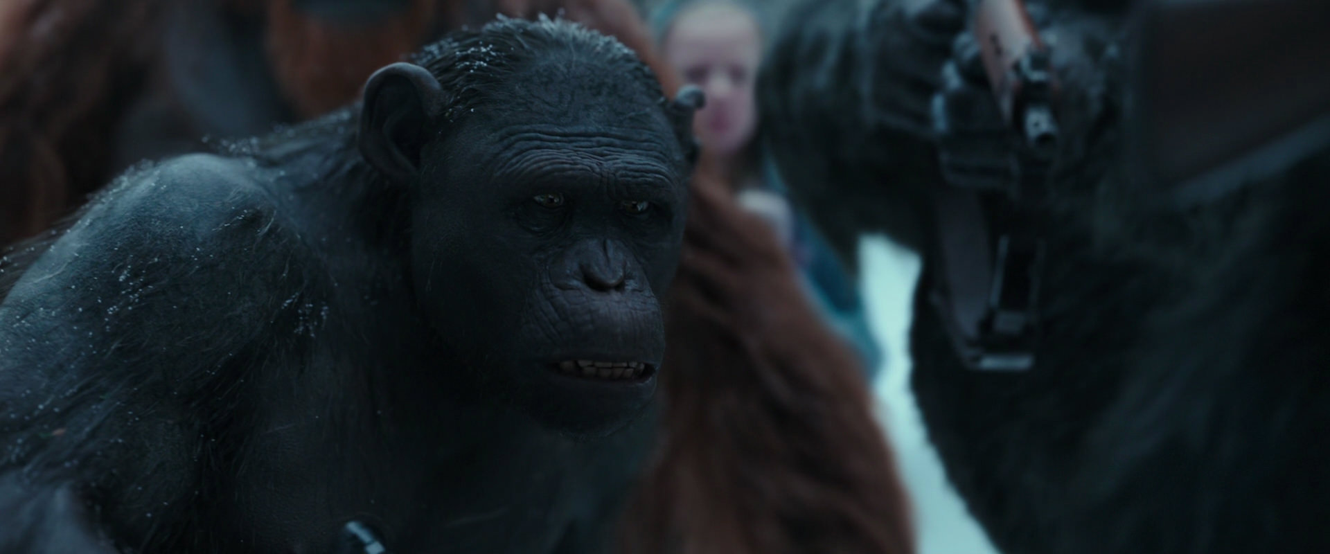 War for the Planet of the Apes (2017) HD screenshot 4721