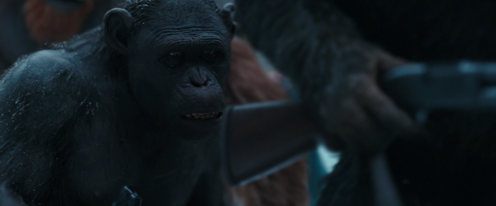 War for the Planet of the Apes (2017) movie still 4723