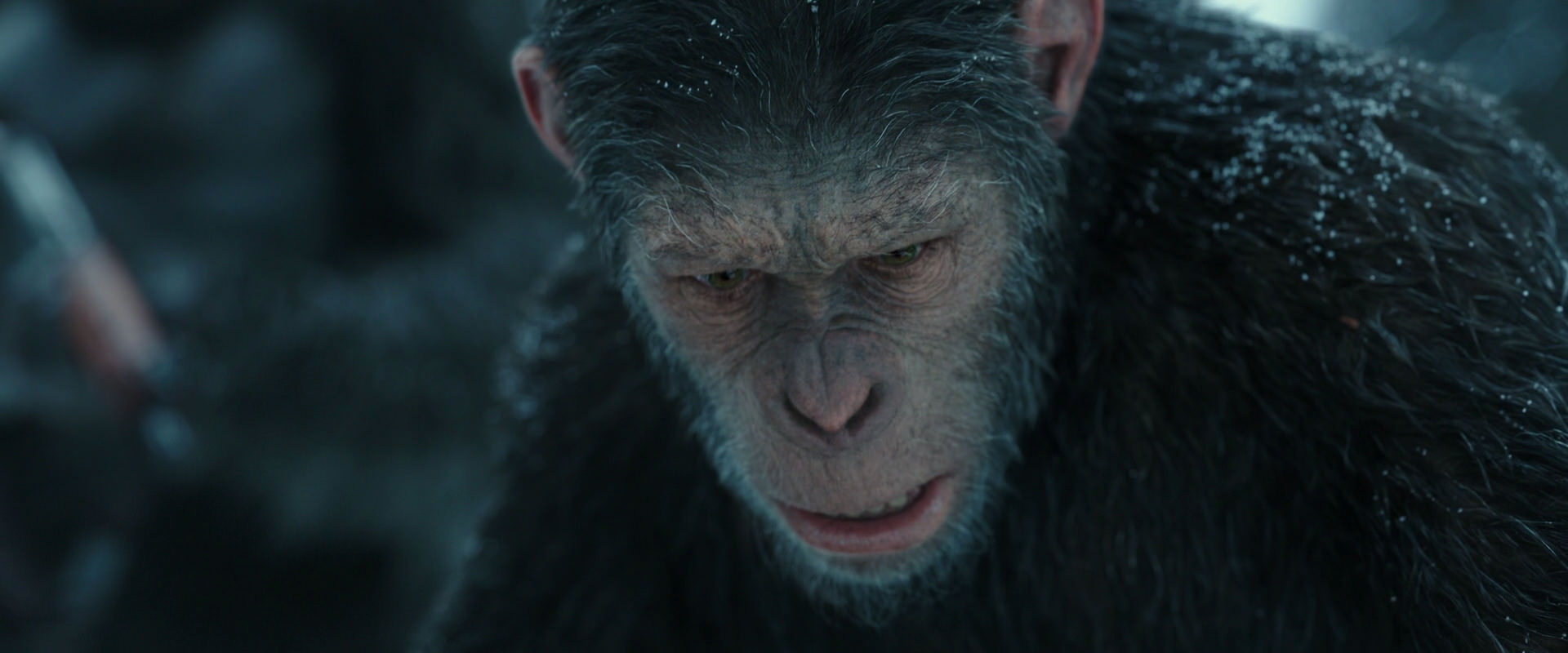 War for the Planet of the Apes (2017) screencap 4725