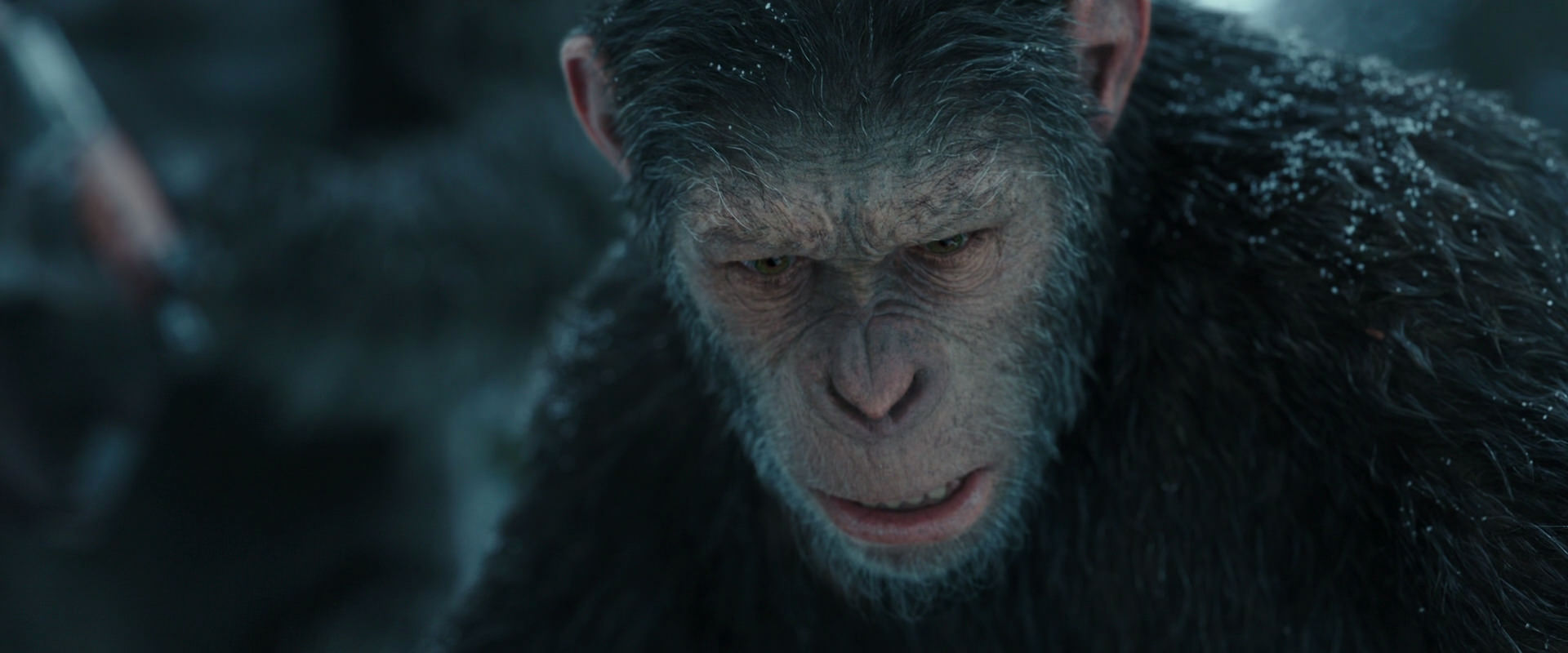 War for the Planet of the Apes (2017) movie still 4726